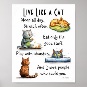 Leef als een kat Humoristische Cartoon Wall Art Poster
