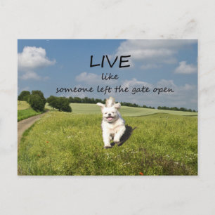 "Leef als iemand die de poort open heeft gelaten" Briefkaart