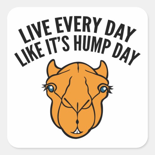 Leef elke dag alsof het Hump Day is Vierkante Sticker (Voorkant)