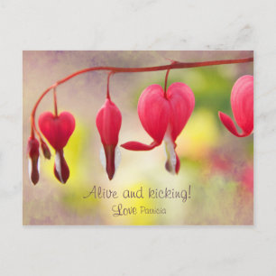 Leef en schopend! CC0193 Love, Patricia Briefkaart