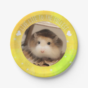 Leef het leven van de Volledigste Hammyville Hamst Papieren Bordje