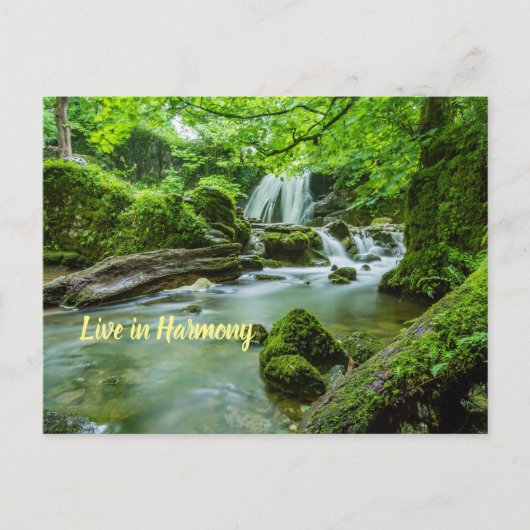 Leef in Harmony Briefkaart (Voorkant)