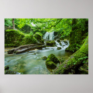 Leef in Harmony Poster