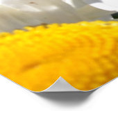 Leef je dromen Ladybug en Daisy Poster (Hoek)