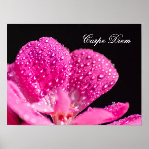 Leef je leven in harmonie met natuur! poster