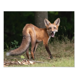 Leef met geest foto afdruk