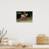 Leef met SPUNK Poster (Keuken)