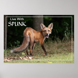 Leef met SPUNK Poster