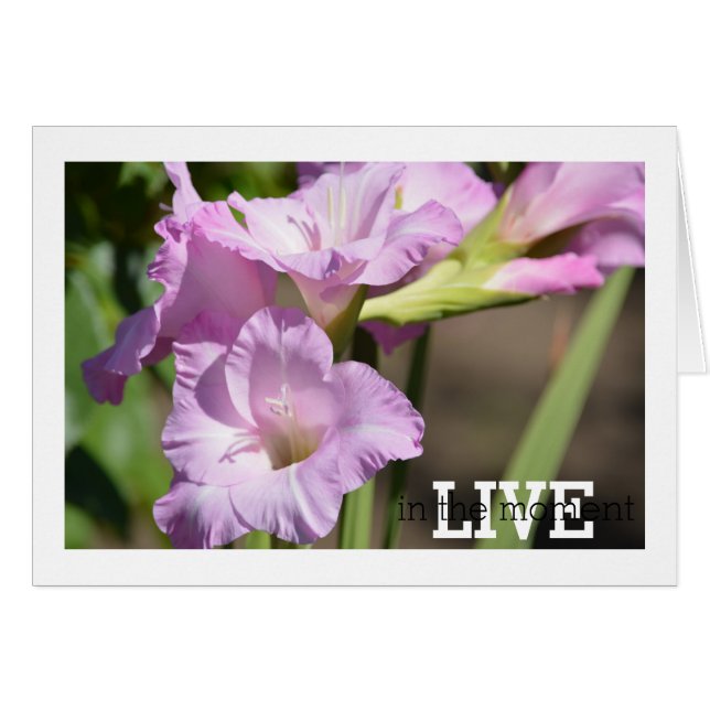 Leef op het moment Gladiolus (Voorkant Horizontaal)