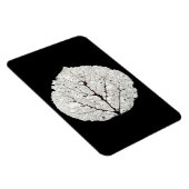 Leefblad van Aspen 1 Magneet (Rechterzijde)