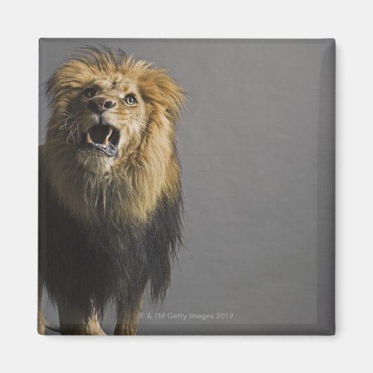 Leefhouderij Magneet (Voorkant)