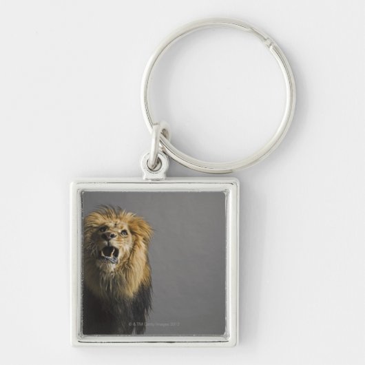 Leefhouderij Sleutelhanger (Voorkant)