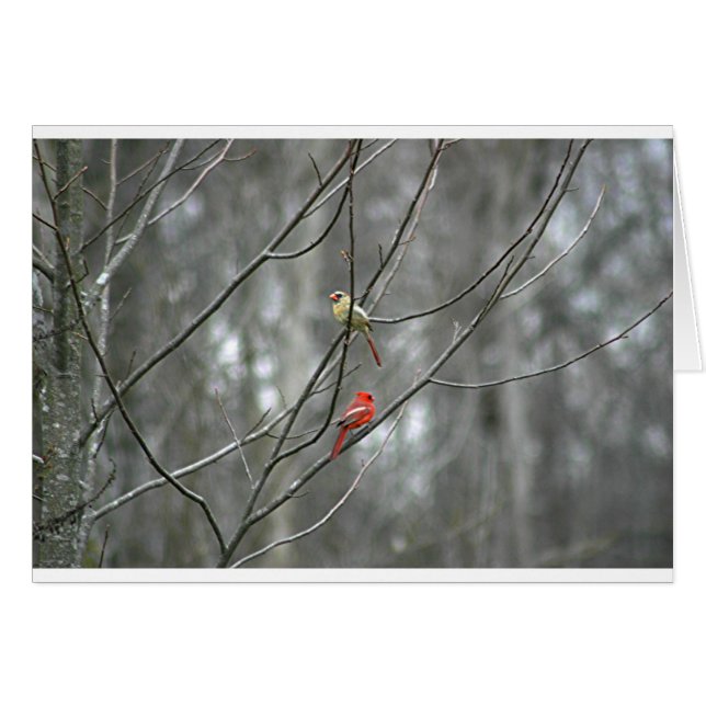 Leeftijd (Voorkant Horizontaal)