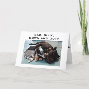 LEEFTIJD IS EEN GEHEIM MET ME=OVER DE HILLDOG HUMO KAART