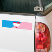 Leeftijd Pride Flag Bumpersticker (Op Truck)