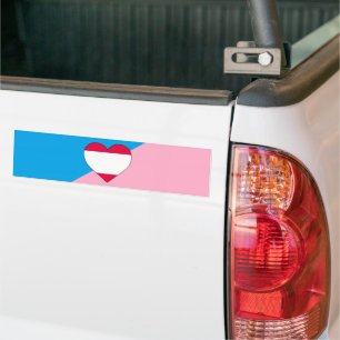 Leeftijd Pride Flag Bumpersticker