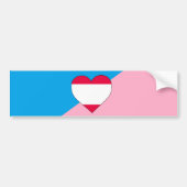 Leeftijd Pride Flag Bumpersticker (Voorkant)