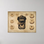 Leeftijd van de Waterverf van de paardenmond Teth Canvas Afdruk (Voorkant)