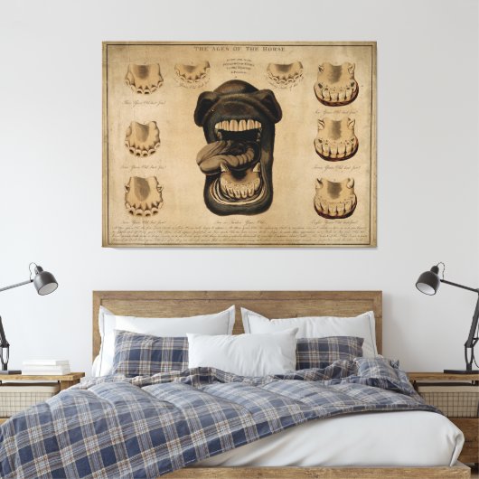 Leeftijd van de Waterverf van de paardenmond Teth Canvas Afdruk (Insitu (Slaapkamer))