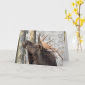 Leeg Wenskaart: De Koning van Amerikaanse elanden Kaart (Gele Bloem)