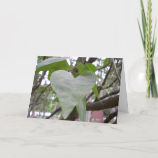 Leeg Wenskaart Kaart