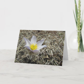 Leeg Wenskaart Kaart