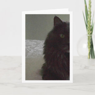 Leeg Wenskaart Kaart