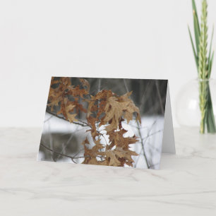 Leeg Wenskaart Kaart