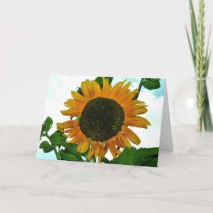 Leeg wenskaart met de foto van de Zonnebloem Kaart