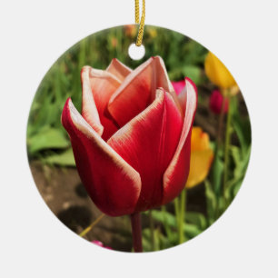 Leen Van Der Mark Tulip, Oregon Keramisch Ornament