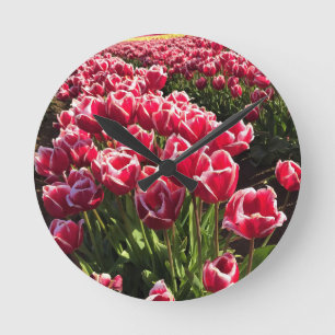 Leen Van Der Mark Tulips, Oregon Ronde Klok