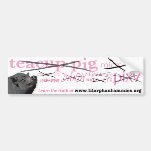Leer de Waarheid! Bumpersticker