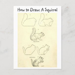 Leer hoe je een eekhoorn en een chipmunk tekent Briefkaart