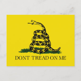 Leer niet over de revolutionaire oorlog in Gadsden Briefkaart