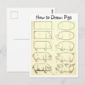 Leer om Varkens Briefkaart te tekenen (Voorkant / Achterkant)