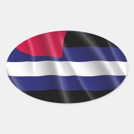 LEER PRIDE OVALE STICKER (Voorkant)