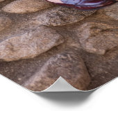 Leerboek van de student en Zitten op Stone Wall Poster (Hoek)