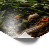 Leerkathedraal, Universiteit van Pittsburgh Foto Afdruk (Hoek)