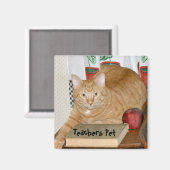 Leerlerarenet Magneet (Voorkant / Achterkant)