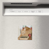 Leerlerarenet Magneet (Insitu (Vaatwasser))