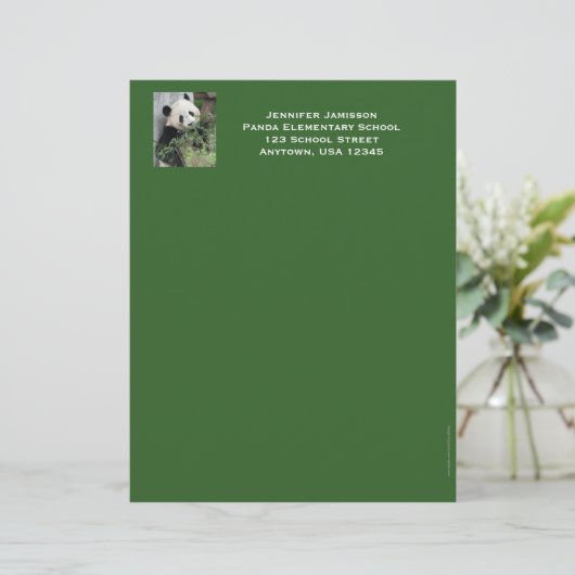Leerschool — leerlingwezen, Panda, groene trim Custom Briefhoofd (Staand voorkant)