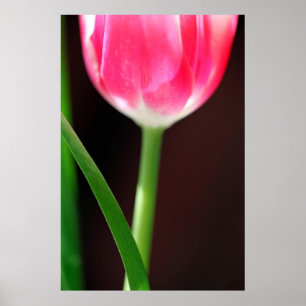 Leertijd Poster