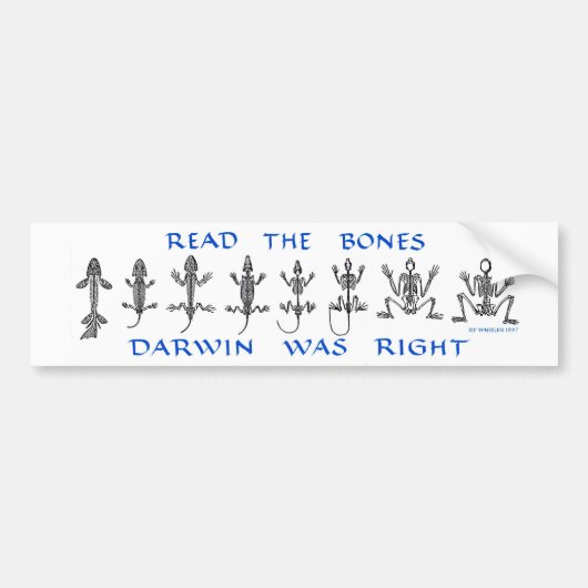 Lees de Botten, Darwin had gelijk Bumpersticker (Voorkant)