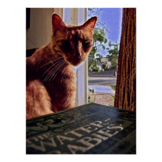 Lees mijn gedachten, Cat Poster Perfect Poster