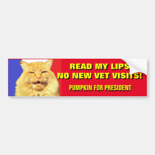 Lees mijn lips No Vets .Pumpkin voor President 202 Bumpersticker