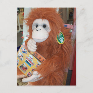Leesend Orangutan Briefkaart