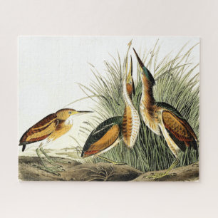 Leest Bittern Heron Birds Wildlife Animals Puzzle Legpuzzel