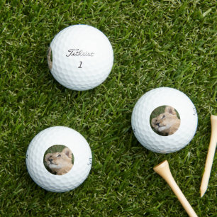 Leeuw 022 golfballen
