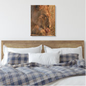 Leeuw 12 canvas afdruk (Insitu (Slaapkamer))