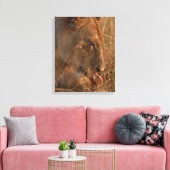 Leeuw 12 canvas afdruk (Insitu (Woonkamer))